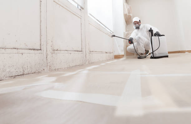 24/7 Emergency Mold Remediation experts in South Bound Brook, NJ