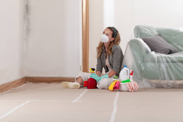 Reliable Mold Remediation contractor in South Bound Brook, NJ by WQB Mold Removal